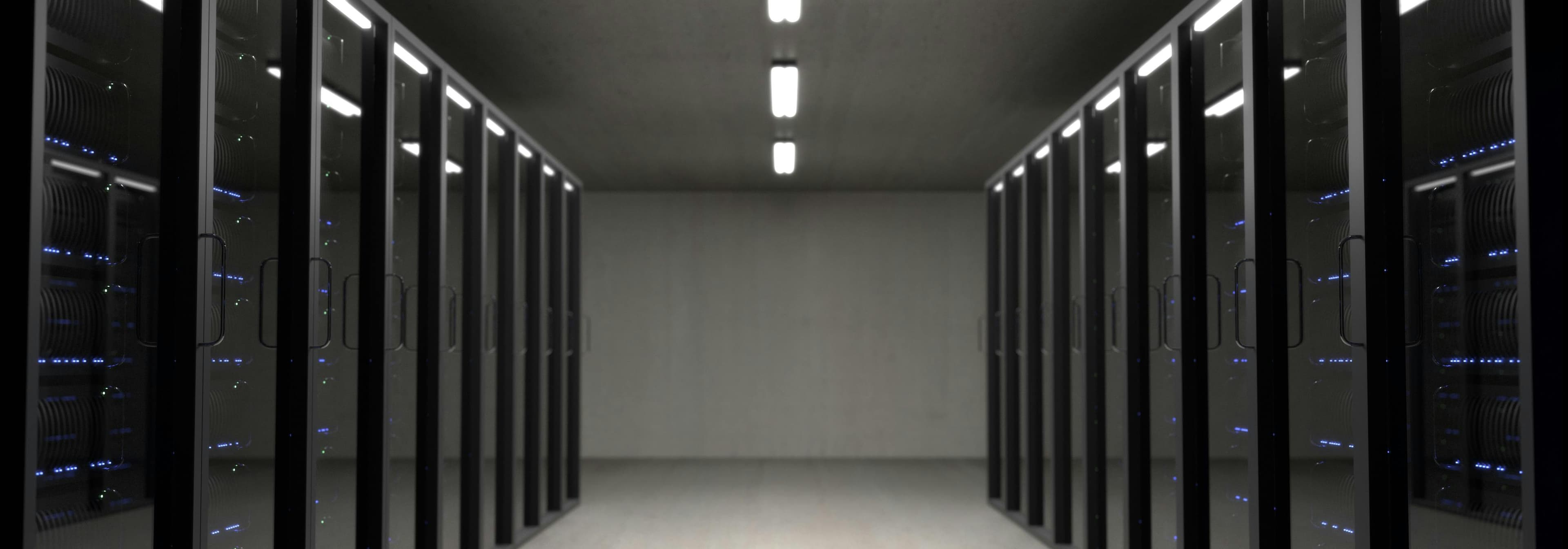 The information technology industry