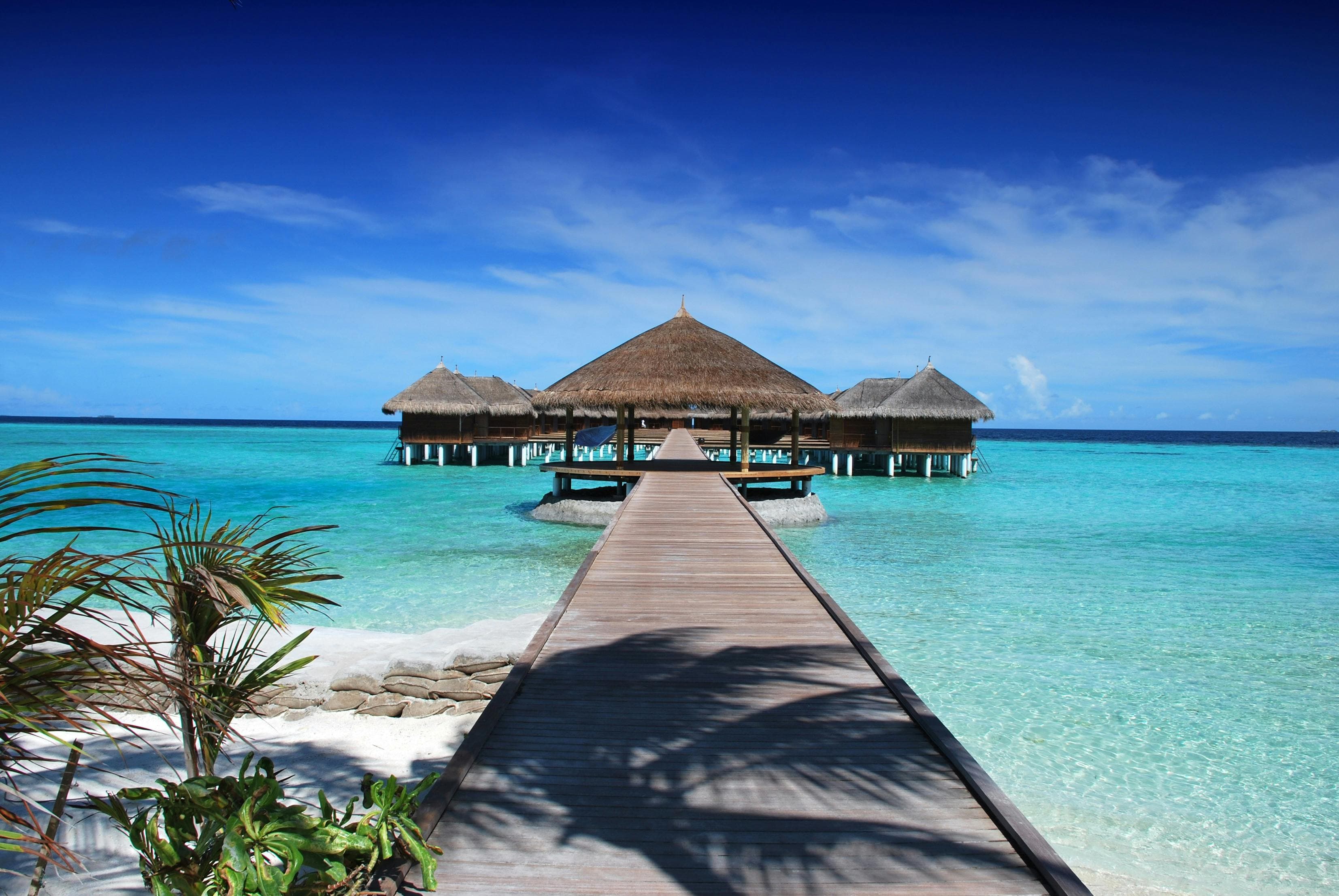 The travel and tourism industry